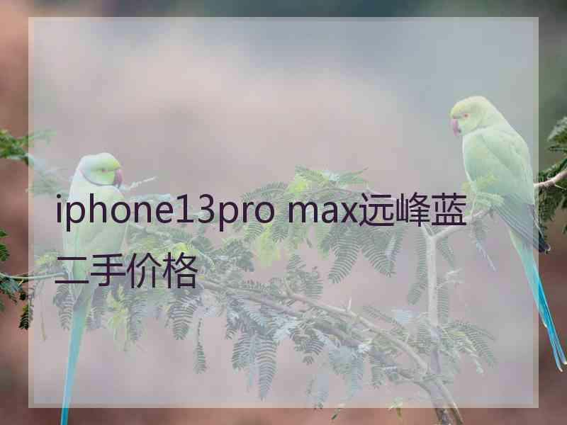 iphone13pro max远峰蓝二手价格