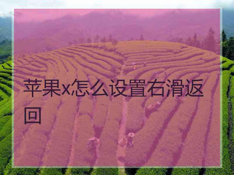 苹果x怎么设置右滑返回