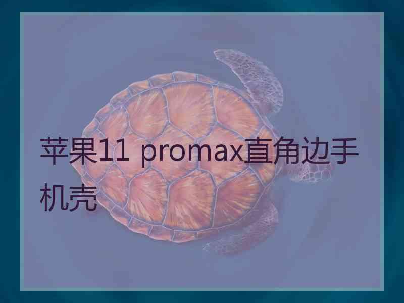 苹果11 promax直角边手机壳