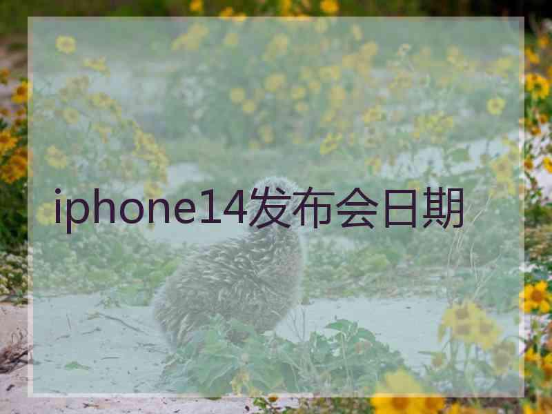 iphone14发布会日期