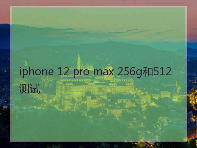 iphone 12 pro max 256g和512测试