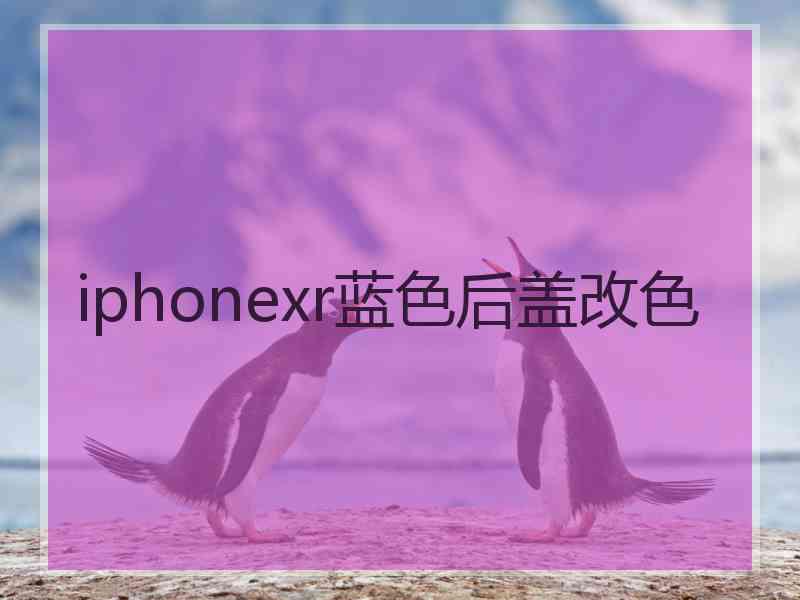 iphonexr蓝色后盖改色