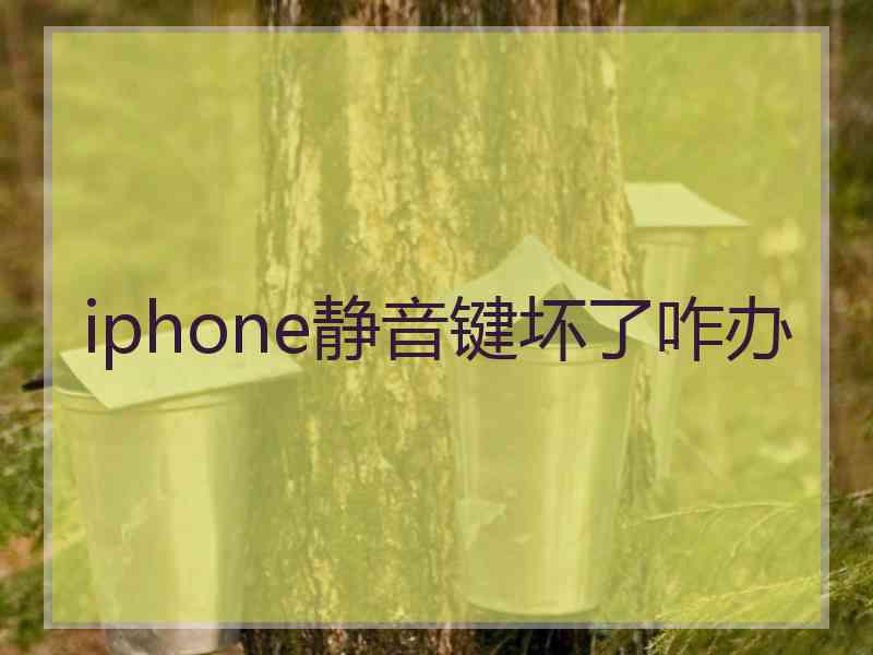 iphone静音键坏了咋办