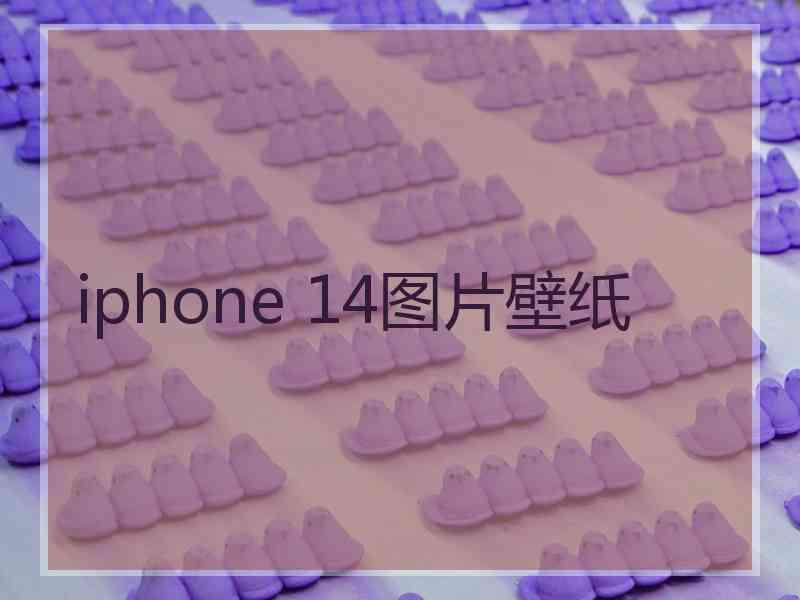 iphone 14图片壁纸