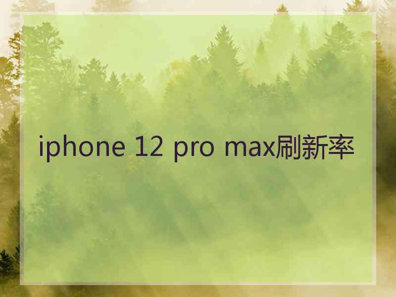 iphone 12 pro max刷新率