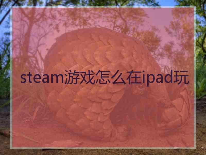 steam游戏怎么在ipad玩