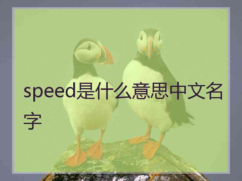 speed是什么意思中文名字