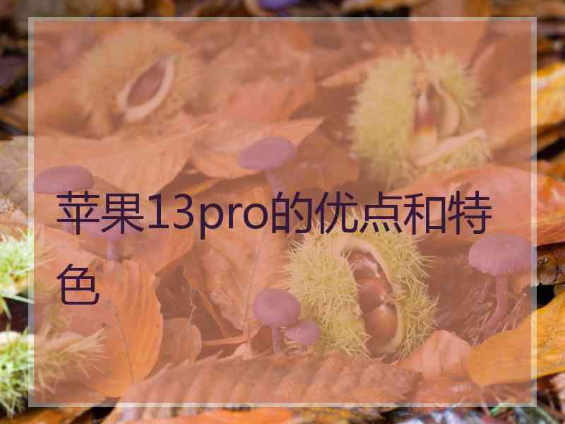 苹果13pro的优点和特色