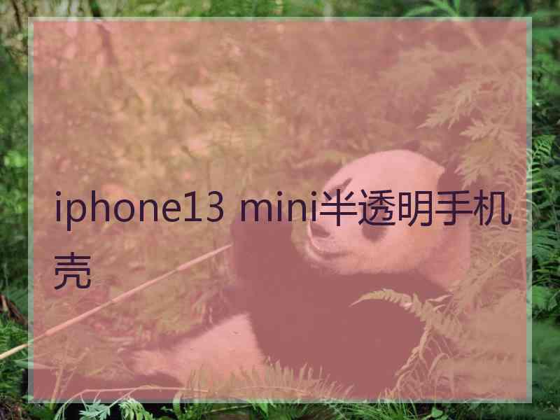 iphone13 mini半透明手机壳