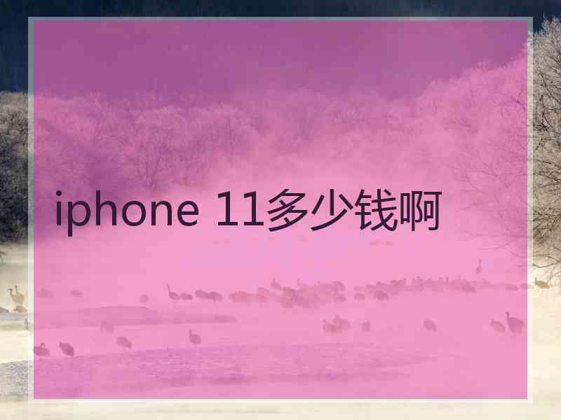 iphone 11多少钱啊