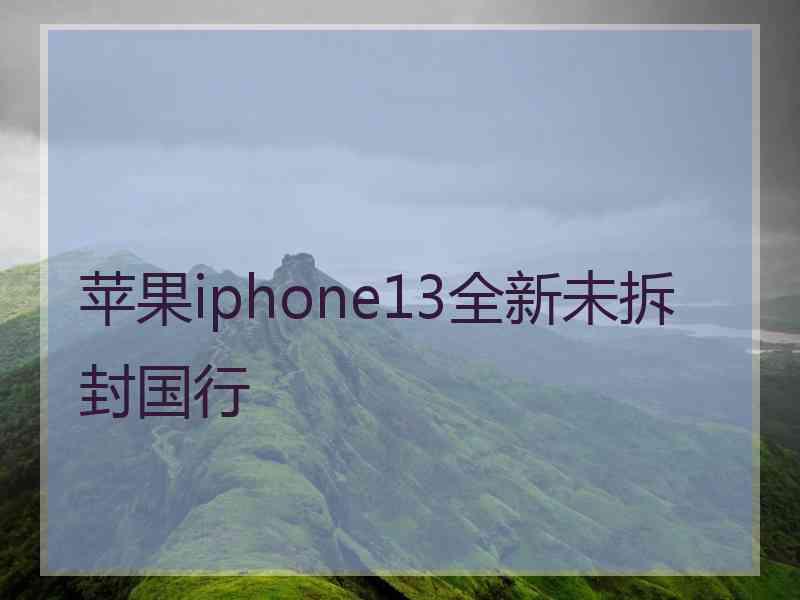 苹果iphone13全新未拆封国行