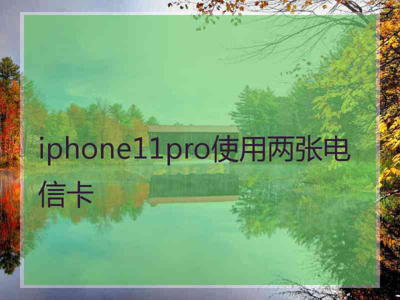 iphone11pro使用两张电信卡