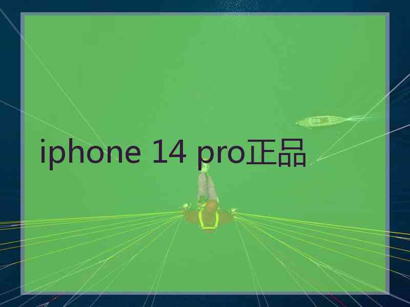 iphone 14 pro正品