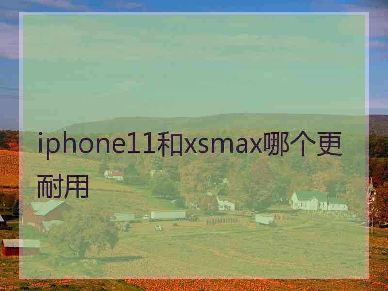 iphone11和xsmax哪个更耐用