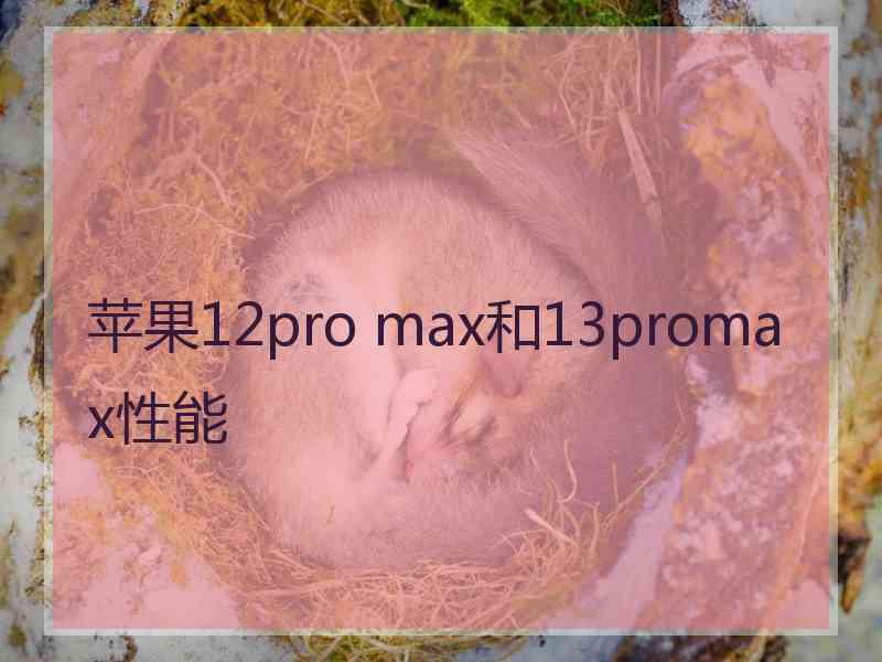 苹果12pro max和13promax性能