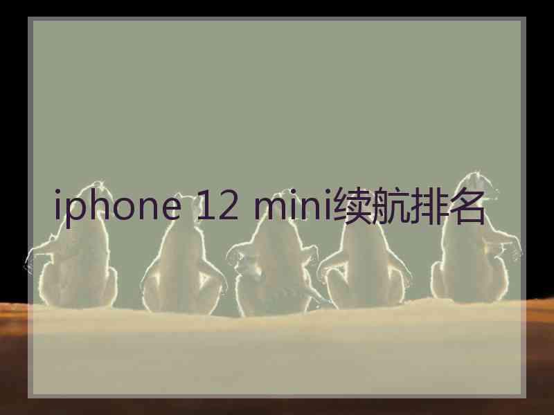 iphone 12 mini续航排名