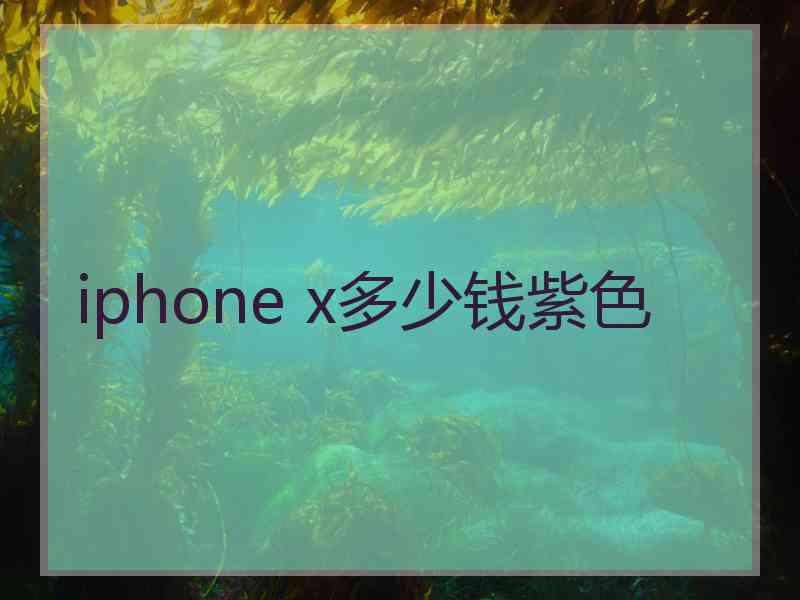 iphone x多少钱紫色