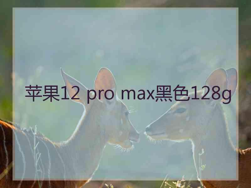 苹果12 pro max黑色128g