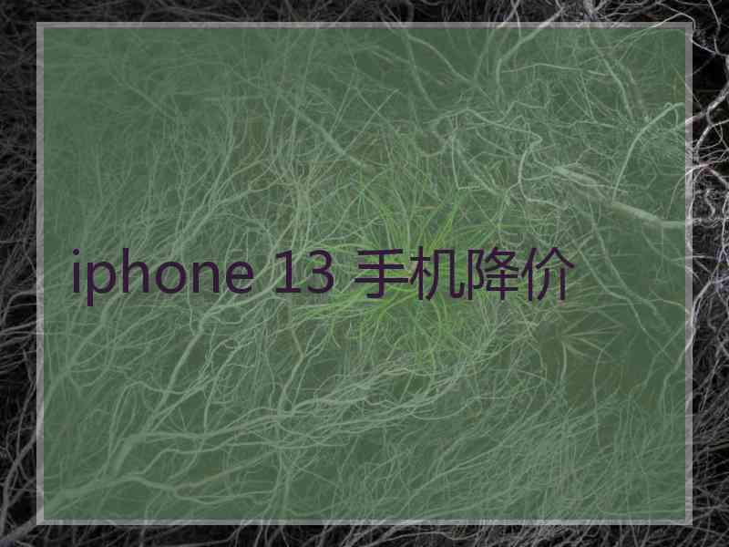 iphone 13 手机降价