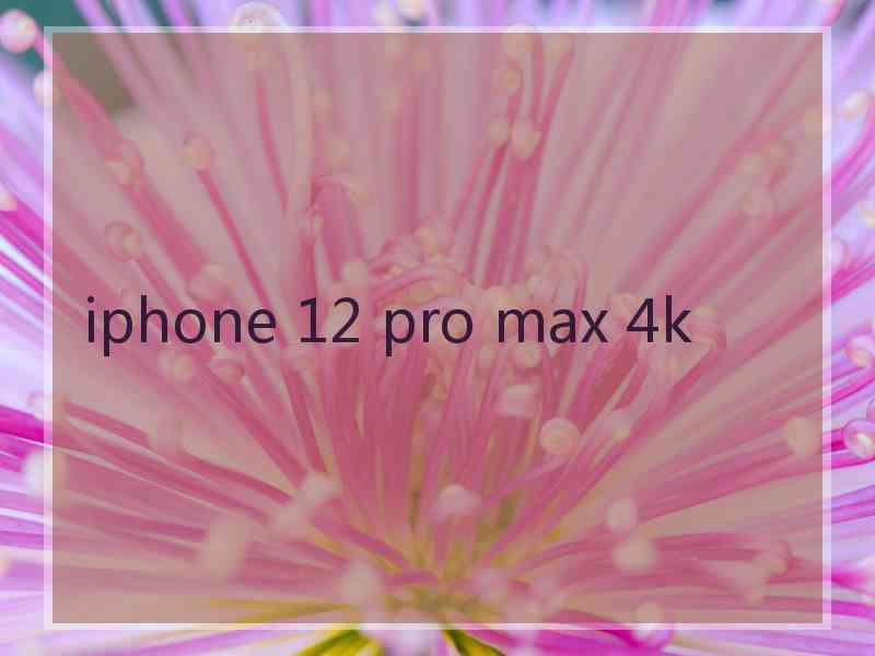 iphone 12 pro max 4k