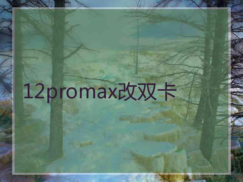 12promax改双卡