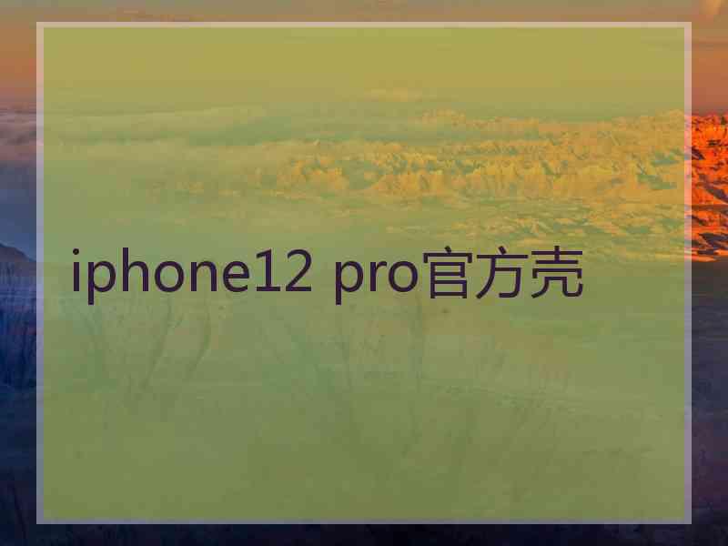 iphone12 pro官方壳