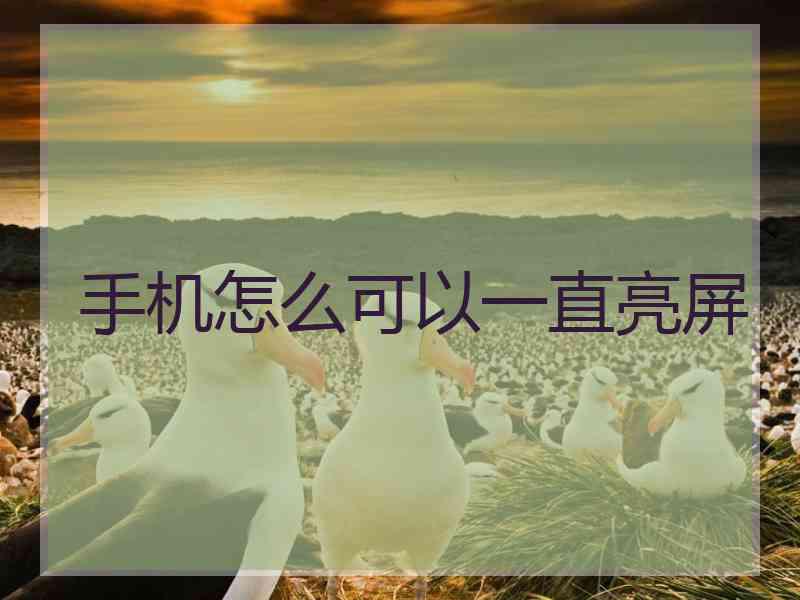 手机怎么可以一直亮屏