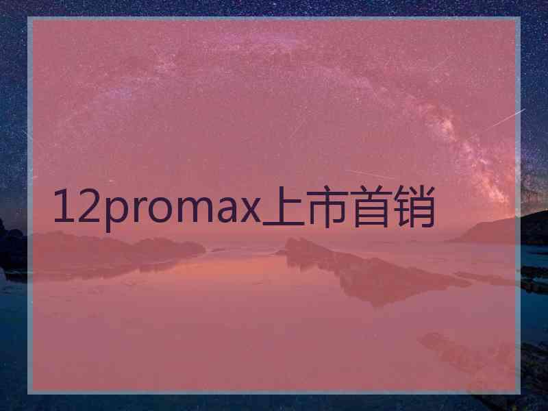 12promax上市首销