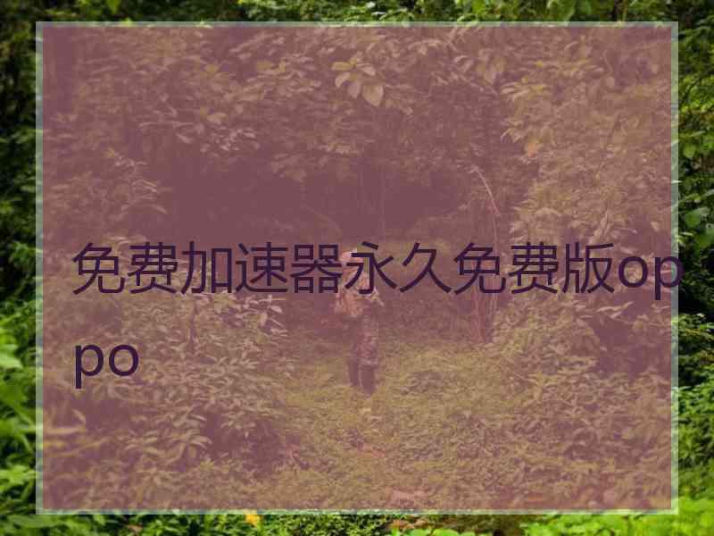 免费加速器永久免费版oppo