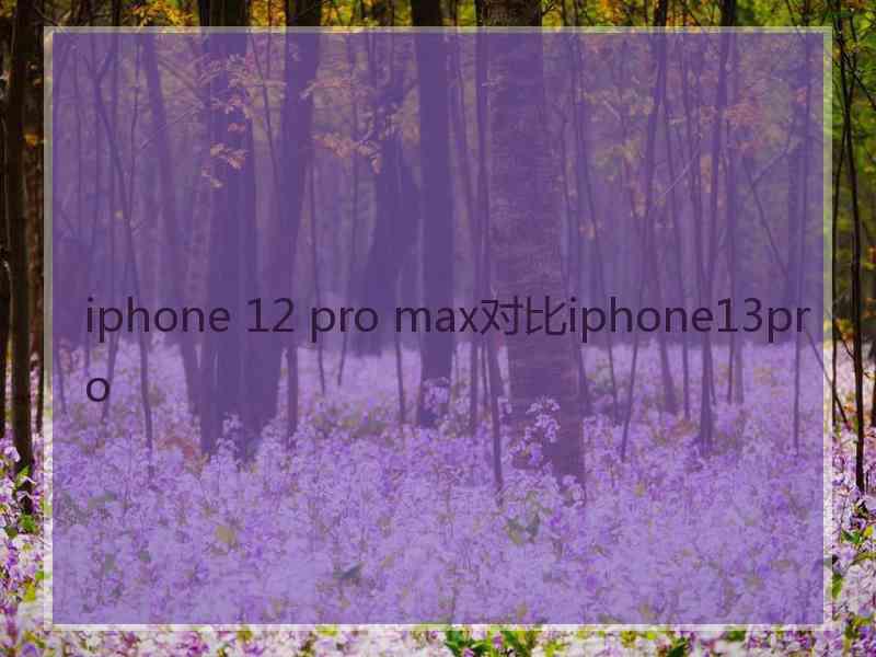 iphone 12 pro max对比iphone13pro