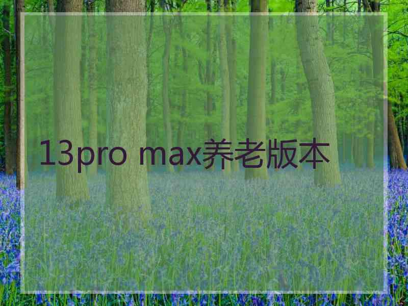 13pro max养老版本