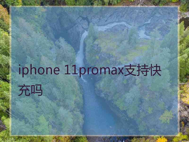 iphone 11promax支持快充吗