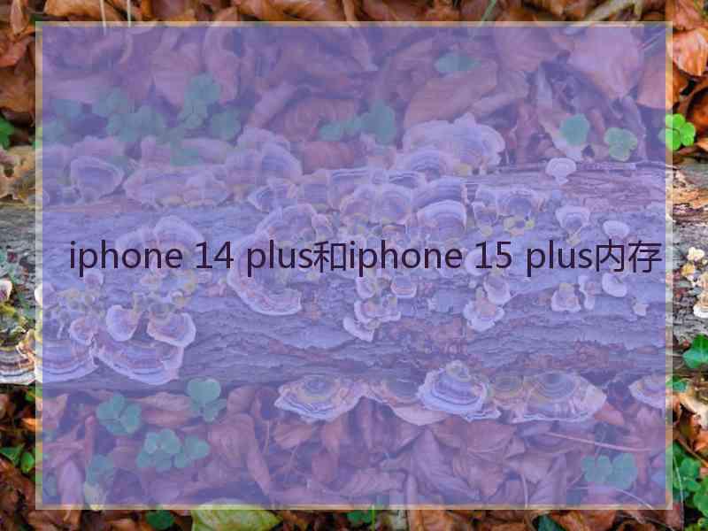 iphone 14 plus和iphone 15 plus内存