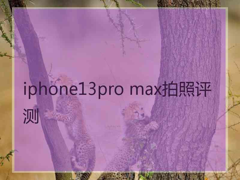 iphone13pro max拍照评测