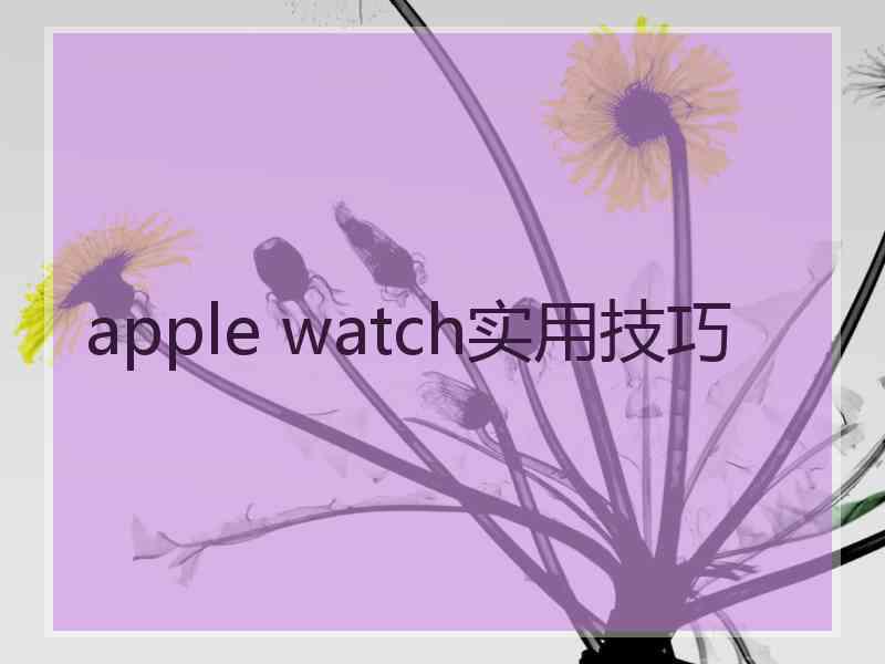 apple watch实用技巧