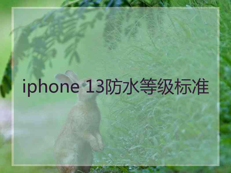 iphone 13防水等级标准