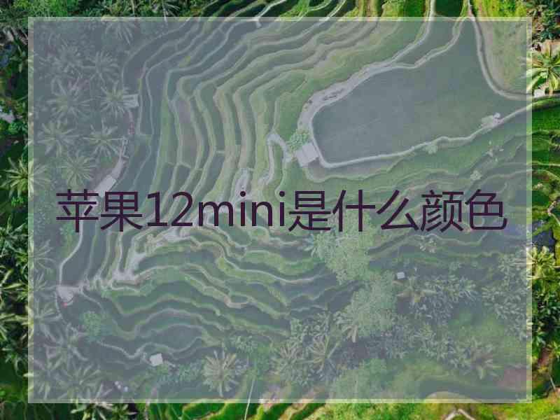 苹果12mini是什么颜色