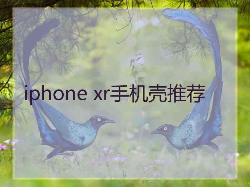 iphone xr手机壳推荐