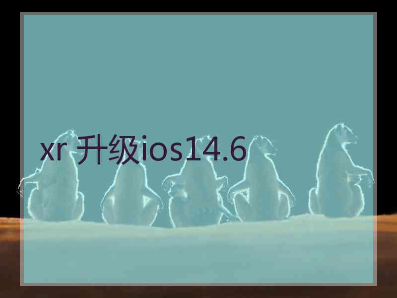 xr 升级ios14.6