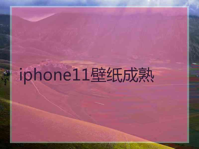 iphone11壁纸成熟