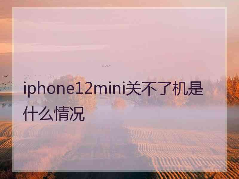 iphone12mini关不了机是什么情况