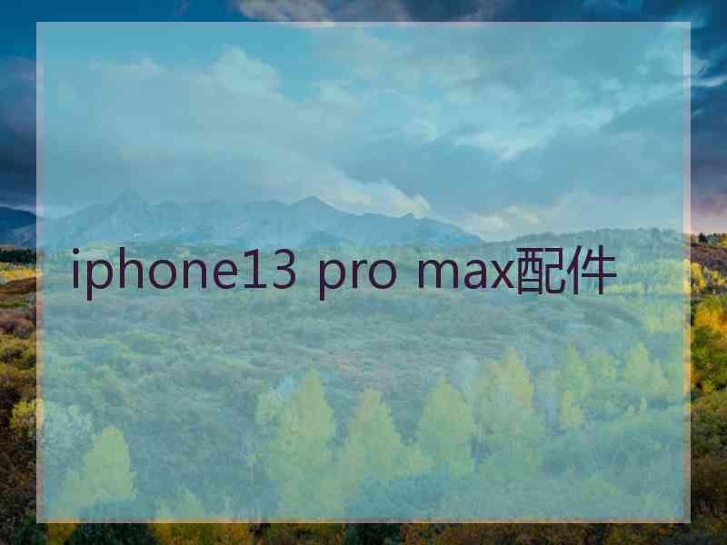 iphone13 pro max配件