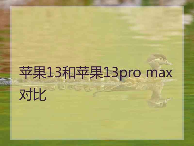 苹果13和苹果13pro max对比