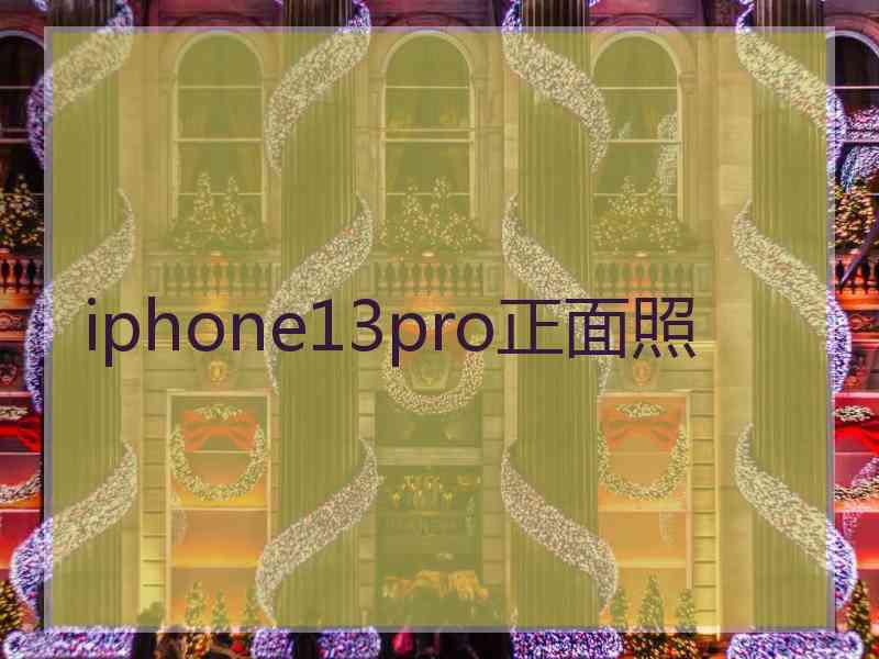 iphone13pro正面照