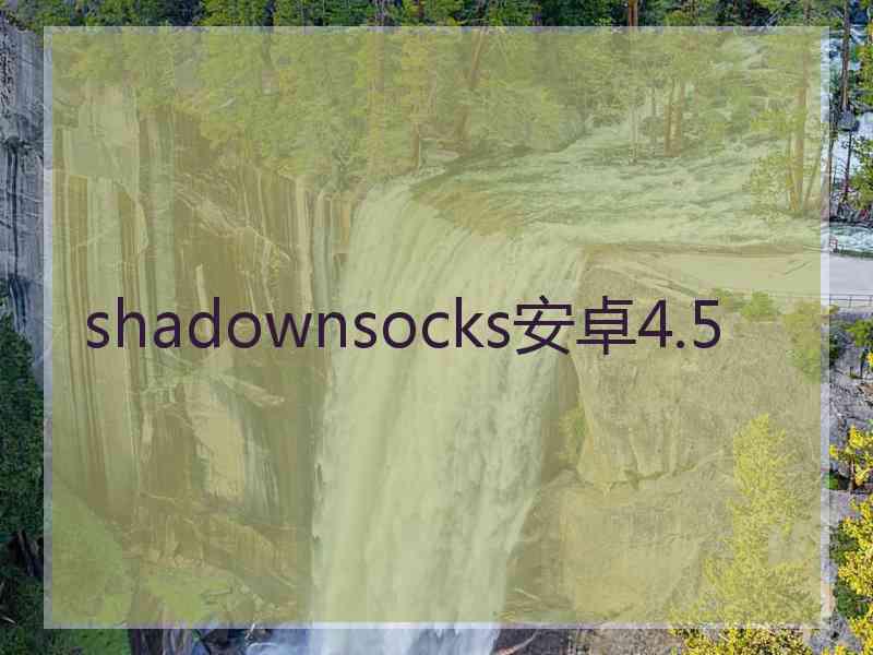 shadownsocks安卓4.5