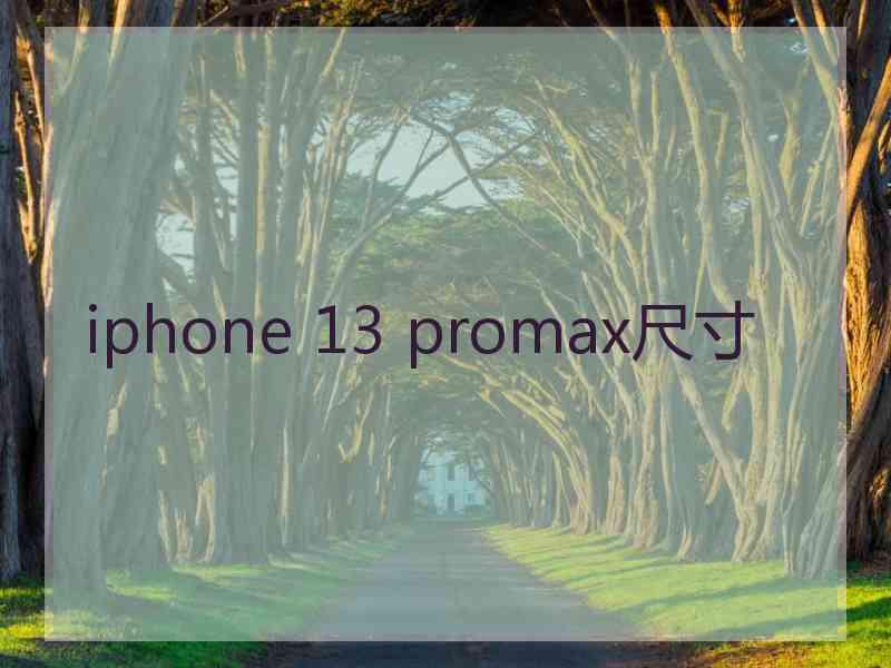 iphone 13 promax尺寸