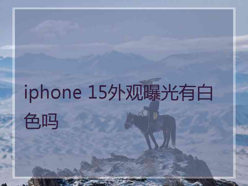 iphone 15外观曝光有白色吗