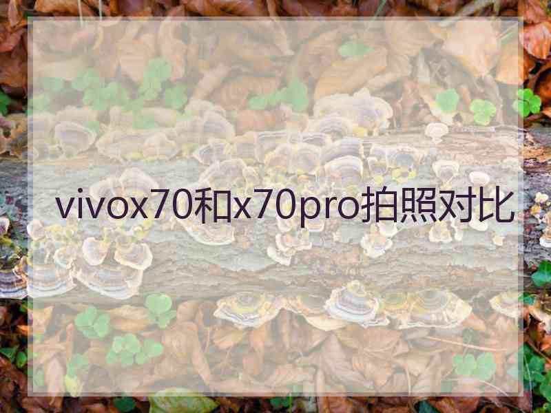 vivox70和x70pro拍照对比