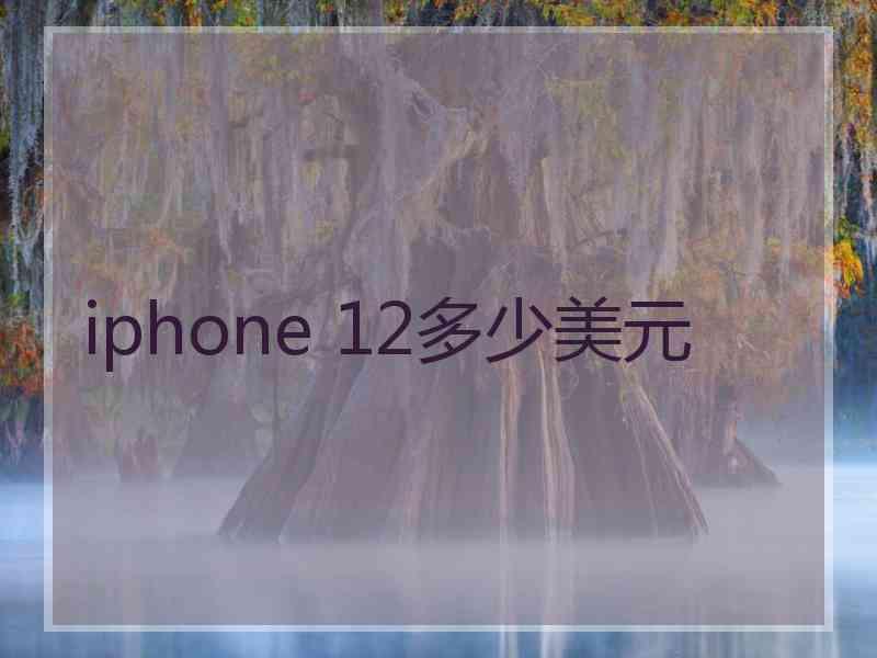 iphone 12多少美元