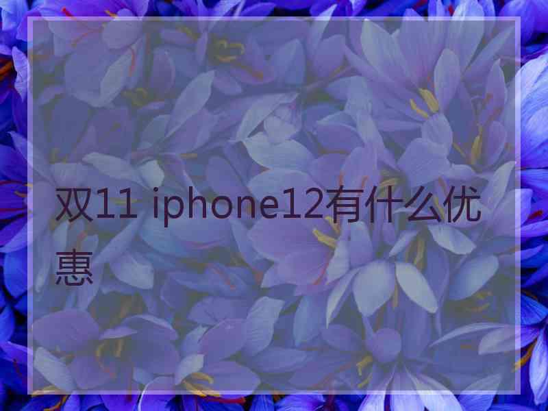 双11 iphone12有什么优惠